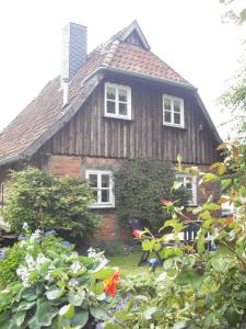 a wooden house with a garden in front of it at Landhaus Kiesow in Suderburg