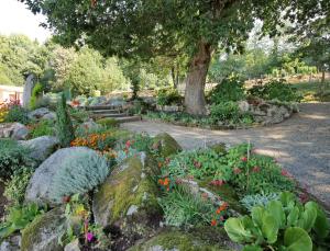 un giardino con fiori e rocce e un albero di Domaine de Malouziès a Fontiers-Cabardès