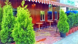 a group of potted trees in front of a restaurant at Sanee Grace in Madikeri