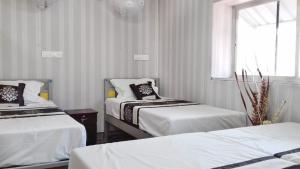 a room with two beds and a window at Sanee Grace in Madikeri