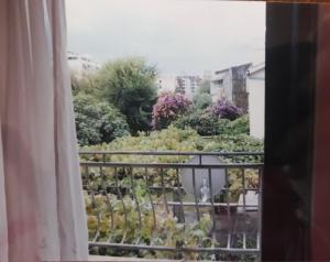 a view of a garden from a window at Guest House Olga in Budva
