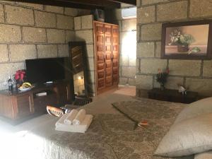 a bedroom with a large bed and a tv at Finca el Cortijo in San Miguel de Abona