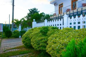 Zahrada ubytování Hotel Kiyara