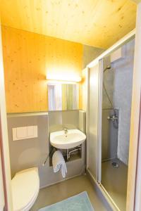 uma casa de banho com um lavatório, um chuveiro e um WC. em Gästehaus Aquilin em Sankt Pölten