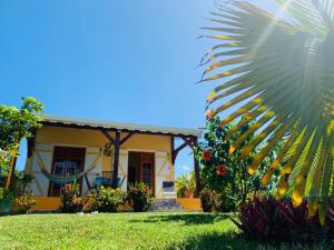 a house with a palm tree in front of it at Les Palmes du Moulin in Saint-Louis