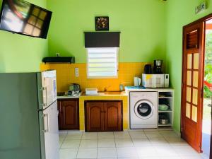 a green kitchen with a washing machine and a washer at Les Palmes du Moulin in Saint-Louis +41 photos