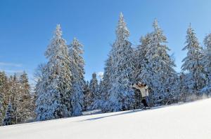 a person on skis in the snow next to trees at Azureva Métabief in Métabief