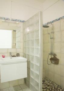 y baño con lavabo y ducha. en Gîte Hibiscus Destrellan, en Baie-Mahault