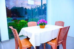 Zahrada ubytování Hotel Kiyara