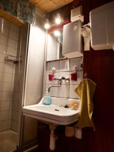 a bathroom with a sink and a shower at Boží Dar 96 in Boží Dar