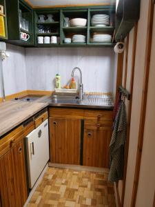 a kitchen with wooden cabinets and a sink at Boží Dar 96 in Boží Dar