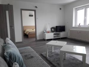 TV in/ali zabaviščno središče v nastanitvi Apartman Dominik