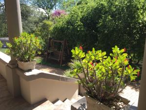 um jardim com dois vasos de plantas num alpendre em Peaches & Cream Bed & Breakfast em Ladysmith