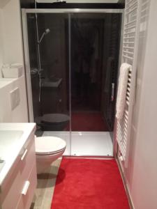 a bathroom with a shower and a toilet with a red rug at B&B Capitaine Piret in Brussels
