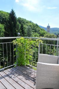 een balkon met een plant op een hek bij Stadt- Naturnah, Traumblick und Balkon in Baden-Baden