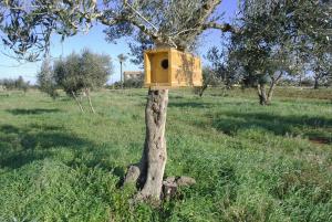 Kép Masseria Galatea Agriturismo szállásáról Alessanóban a galériában