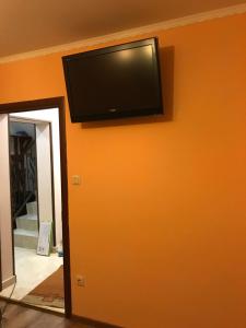 TV a/nebo společenská místnost v ubytování Zatishok Guest House