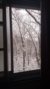 Hakuba Matata Lodge v zimě