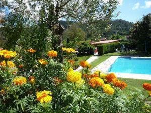 een tuin met gele en oranje bloemen naast een zwembad bij Casa das Pías in Pías