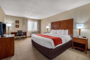Cette chambre comprend un grand lit et une télévision. dans l'établissement Comfort Inn Denver Southeast Area, à Aurora