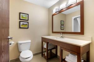 Gallery image of Comfort Suites in Cedar Falls