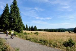 Jazda na bicykli v okolí ubytovania Apartmány BD Boží Dar