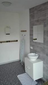 ein Bad mit einem Waschbecken und einem WC. in der Unterkunft Jardin d elisa in Chevetogne