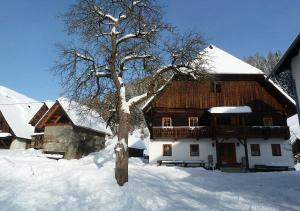 Bauernhof Hatzlhof v zimě