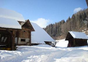 Bauernhof Hatzlhof v zimě