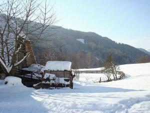 Bauernhof Hatzlhof v zimě