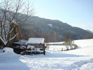 Bauernhof Hatzlhof v zimě