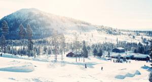 Tännäskröket trong mùa đông