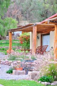 蒂爾卡拉的住宿－Posada Don Juan，一个带椅子的庭院和一个带屋顶的房子