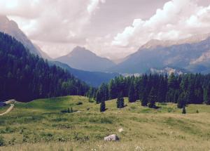 Gallery image of Hotel Sport in Sappada +32 photos