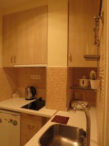 eine Küche mit einer Spüle und einer Arbeitsplatte in der Unterkunft Nice studio next to the sea in Athen