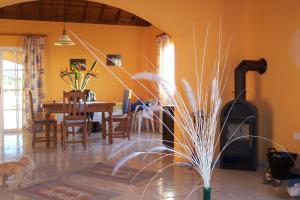 a living room with a fireplace and a dining room at Finca Marita in Tijarafe