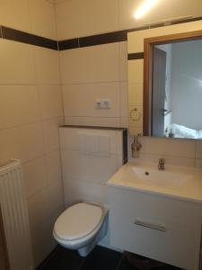 a bathroom with a toilet and a sink and a mirror at Haus Pucher in Sankt Florian am Inn +30 photos