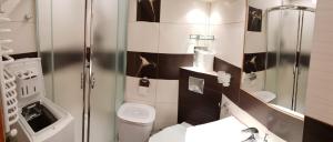 a bathroom with a shower and a toilet and a sink at Górski Apartament in Karpacz