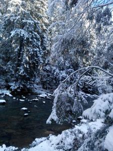 Guest house Alyaska durante l'inverno