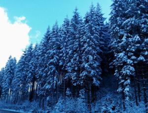 Guest house Alyaska durante l'inverno