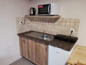 Kuchyňa alebo kuchynka v ubytovaní Apartmány U Vlka