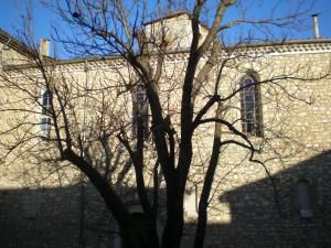 a tree in front of a building with a building at L' ensoleilladou in Quinson