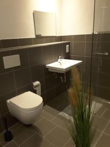a bathroom with a toilet and a sink at KRIO Nicola Rothfuchs Ferienwohnung 3 in Veitsrodt