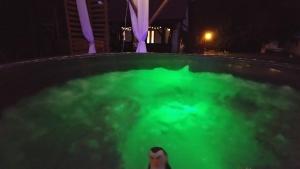 a tub filled with green water at night at Ranczo w lesie - domki z jacuzzi in Ożarów