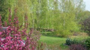 einen Garten mit rosa Blumen und Bäumen im Hintergrund in der Unterkunft Fewo Ausblick in Hechthausen