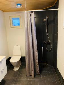 a bathroom with a shower curtain and a toilet at Rauha Marina 5 in Imatra +8 photos