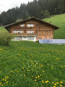 阿德尔博登阿贝立德旅馆的花田里太阳能板的房子