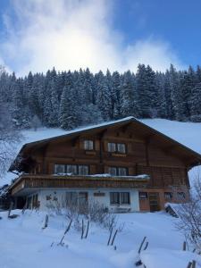 un gran edificio de madera con árboles en la nieve en Abelied en Adelboden