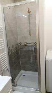 a shower with a glass door next to a toilet at Appartement Taïko in La Flèche