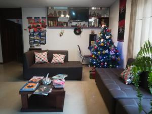 Hostal Alborada Riobamba في ريوبامبا: غرفة معيشة مع شجرة عيد الميلاد وأريكة